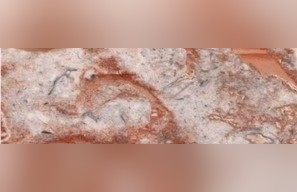Vergina Red Marble