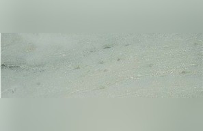 Verona Verdello Marble