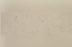 Vienne Gris Limestone