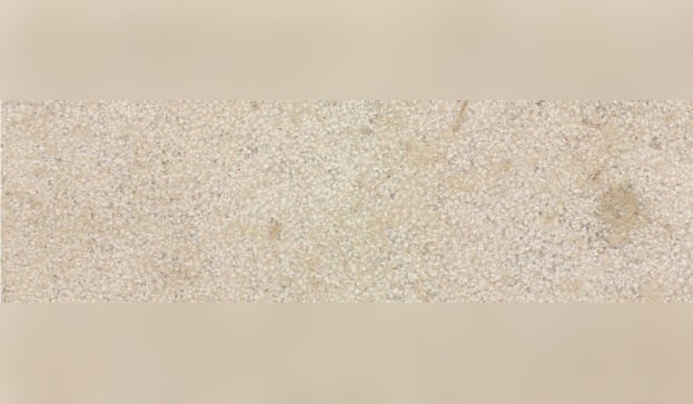 Vilhonneur Limestone