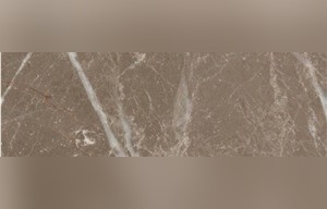 Vizone Marble