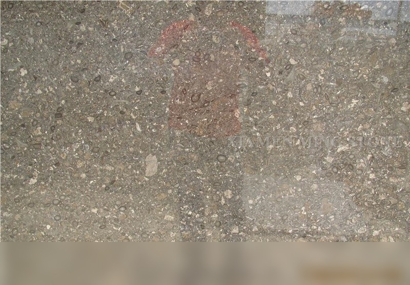 Walnut Brown Limestone