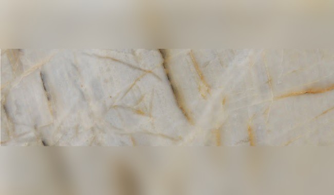 White Bamboo Quartzite