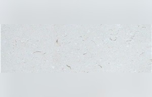 White Fossil Limestone