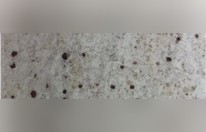 White Palmas Granite