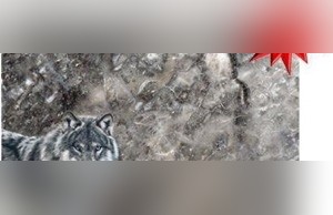Wolf Grey Marble
