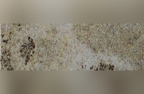Yellow Mantena Granite