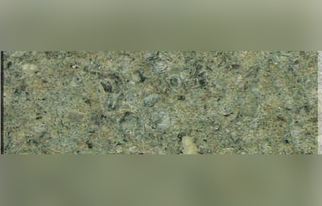 Yuexi Leopard Green Granite